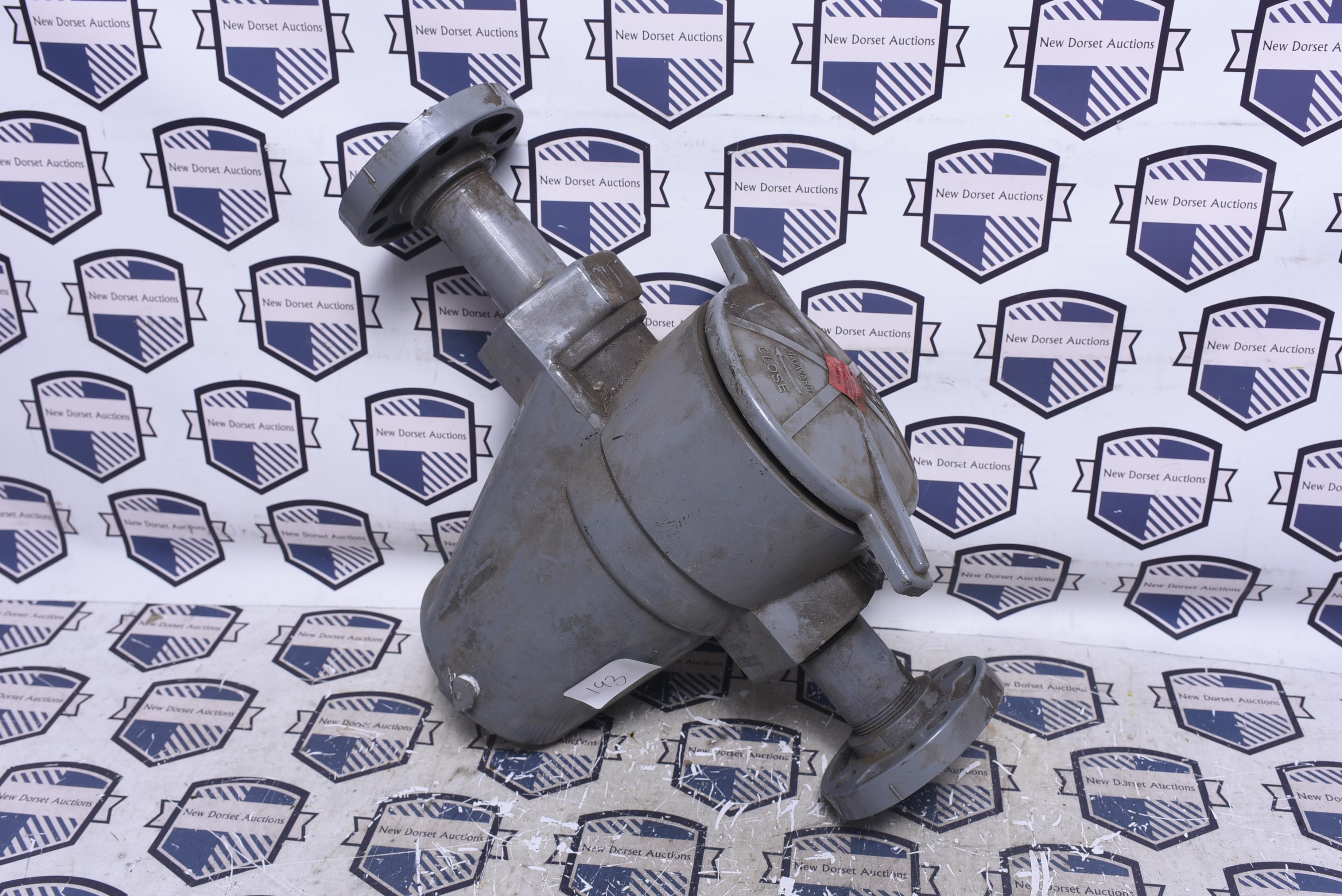 Hayward Basket Strainer