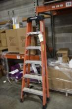 Werner 6ft Ladder
