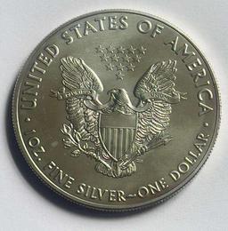 2013 American Silver Eagle