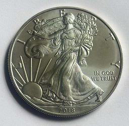 2013 American Silver Eagle