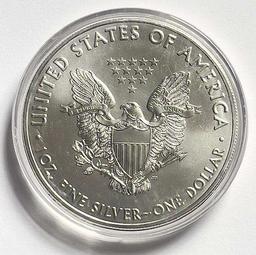 2020 American Silver Eagle