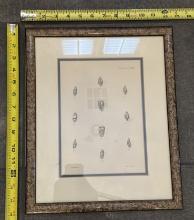 Framed Vintage Illustrations – Decorative Wall Art 12x14.5