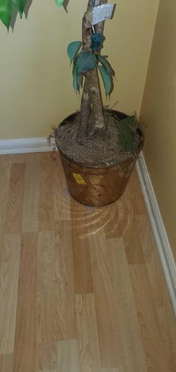 K- 6-1/2' Lighted Natural Wood Ficus Tree