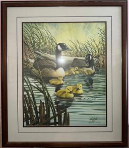 B- Harold Roe Framed Print