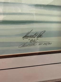 B- Harold Roe Framed Print