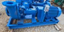 COBRA Centrifugal Pump Skidded