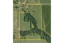 95.84 Acres - 1 Tract