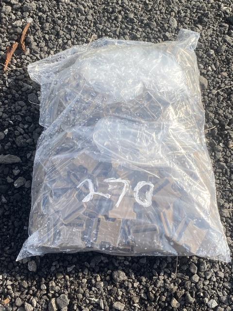 1 Bag of Buckles