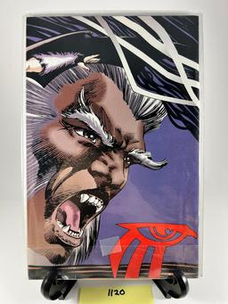 Shaman's Tears #2  Image Comics Mike Grell