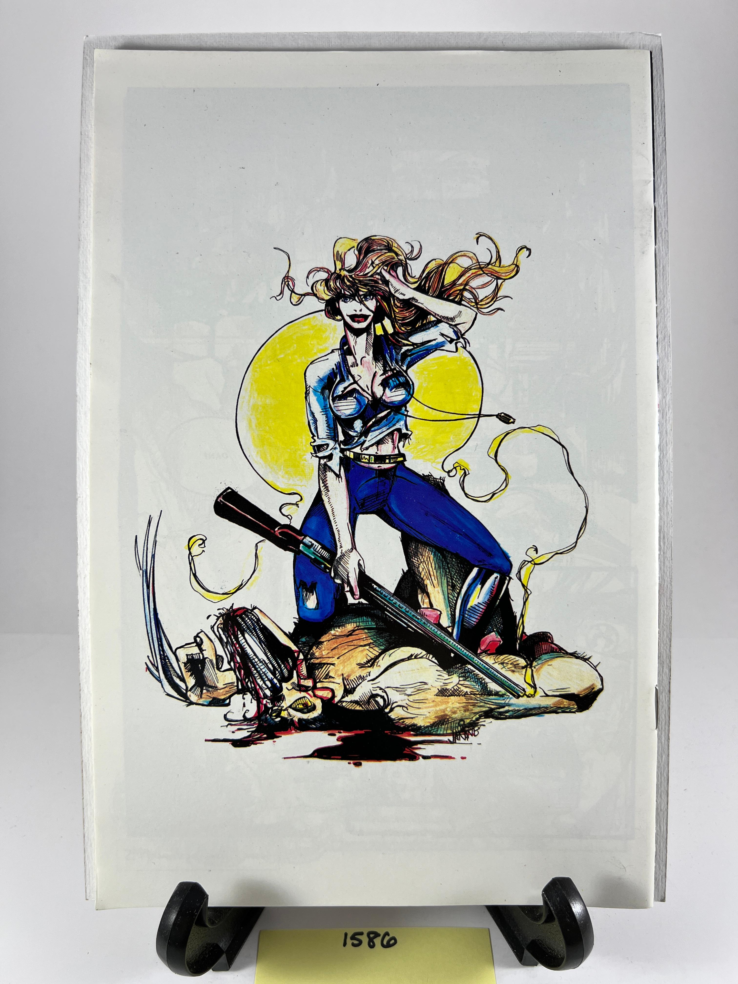 Steele Destinies Comic Issue #1  Vaughan Weed Hoffman