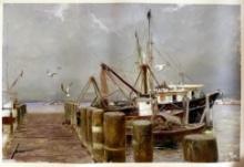 "Safe Harbor" - Pino