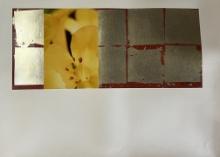 "Aperture" - Liz Rider
