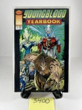 Youngblood Yearbook #1  Image Comics