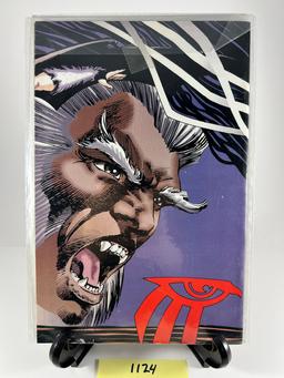 Shaman's Tears Comic Issue 2  Image Comics 1995
