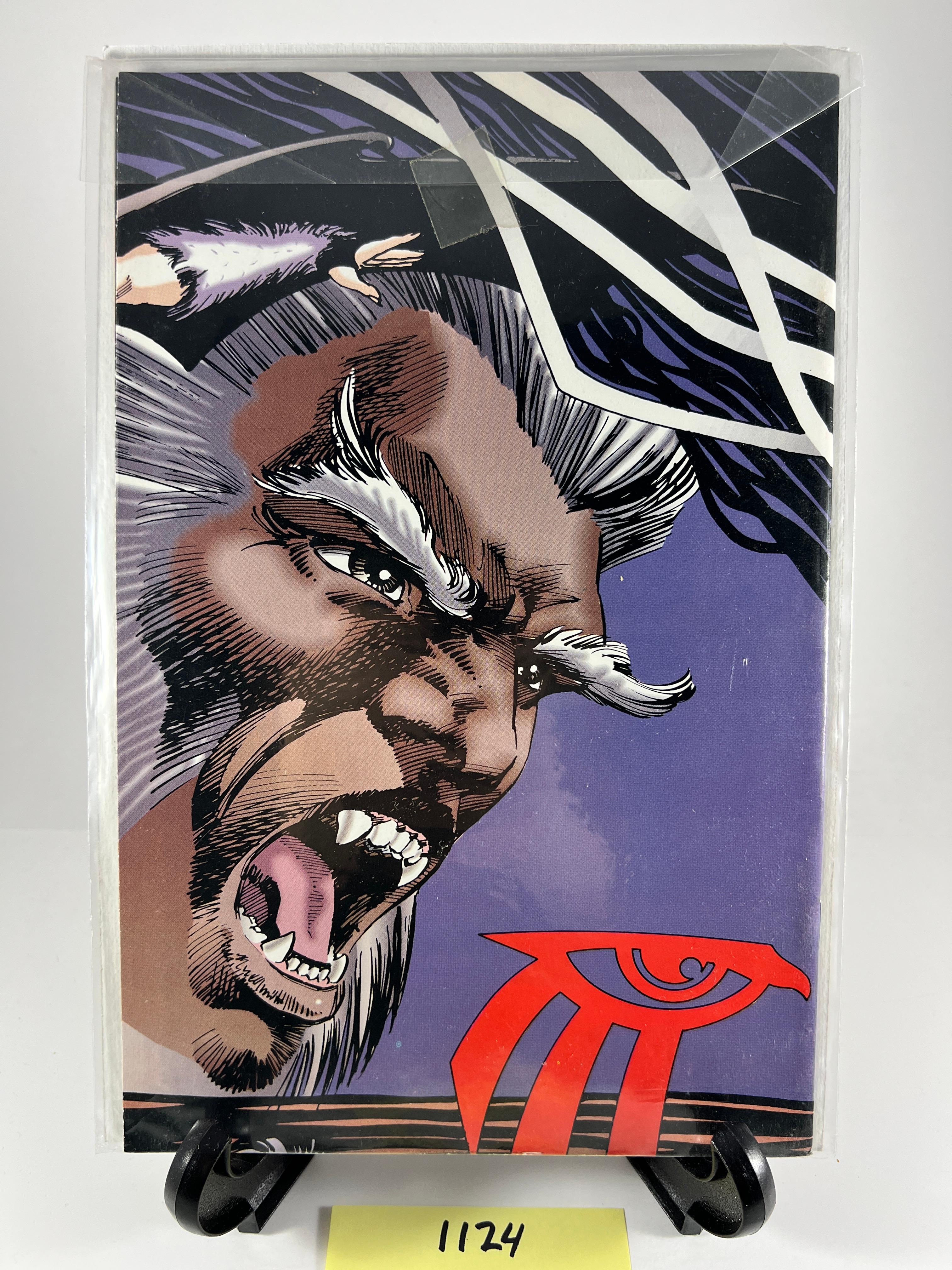 Shaman's Tears Comic Issue 2  Image Comics 1995