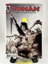 Conan the Cimmerian #12 Comic - Dark Horse Comics