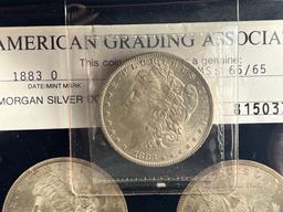 1883-O Morgan Dollar in American Grading Association holder, MS 65