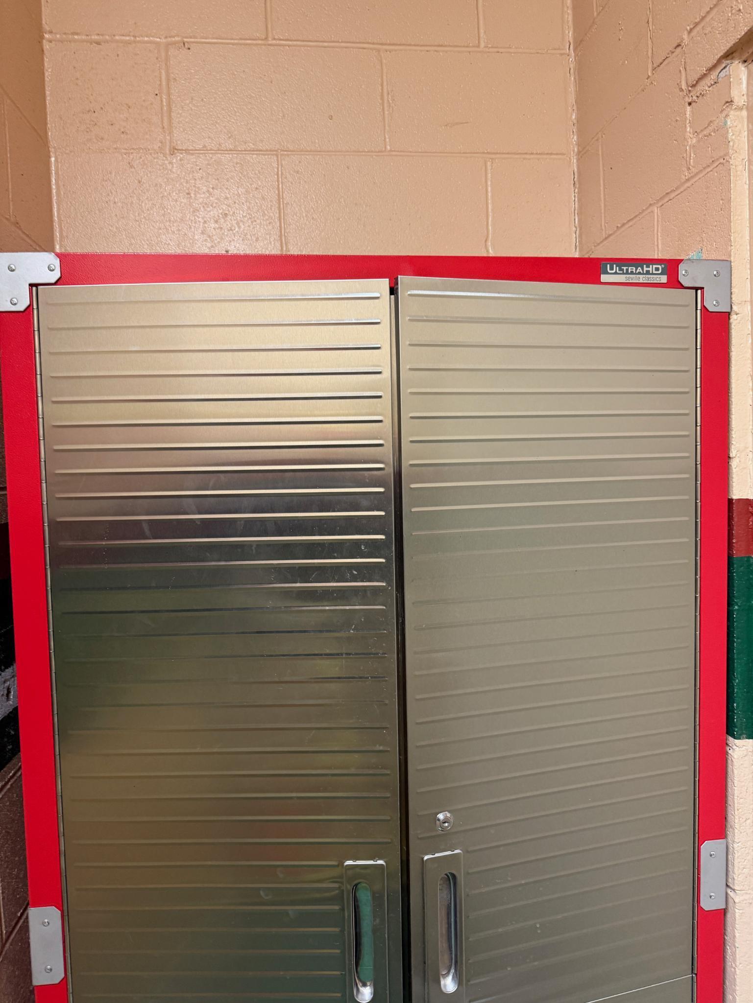 Cabinet 6 ft tall on casters, contents not included, no keys