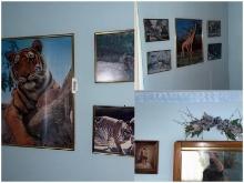Assorted Wall Art Animals, Religious, Sconce, see all pics