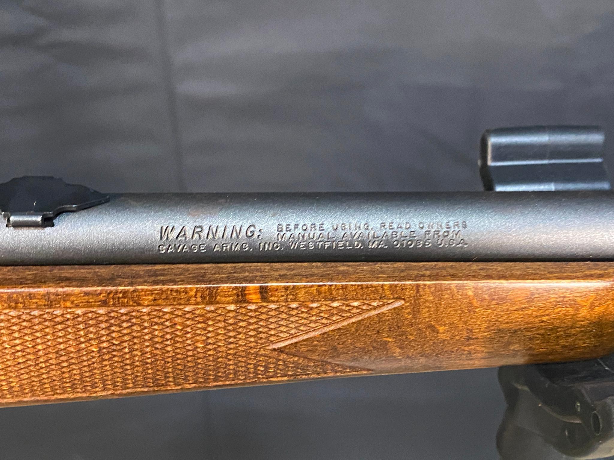 Savage Model 93 .22 wmr only