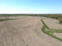 Tract 2 135 Acres... (Subject to survey)