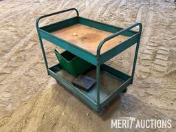 Metal roll around tool cart