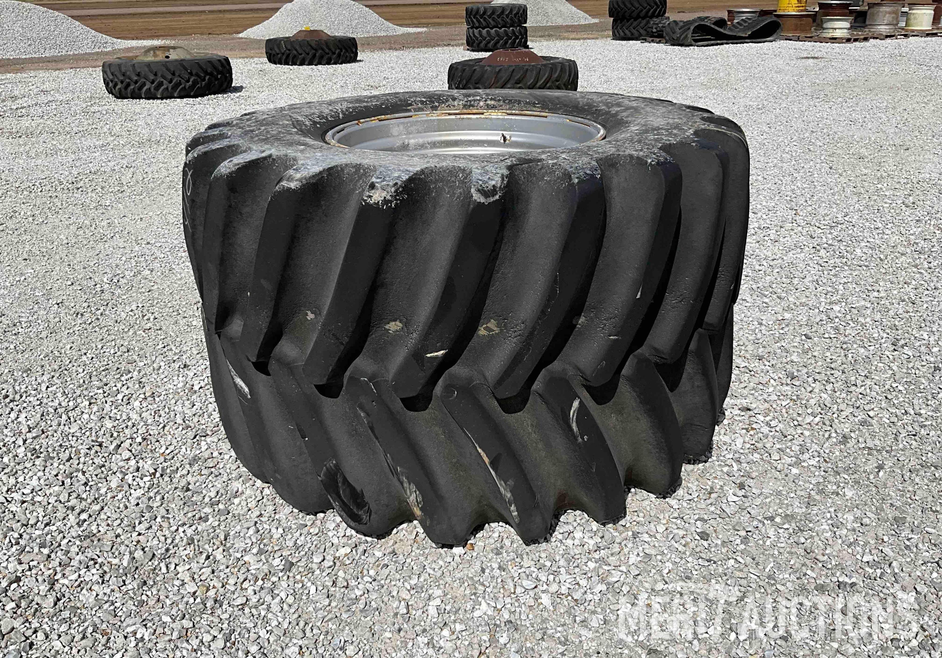 Rim and Tire