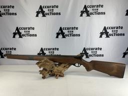Mossberg and Sons 151M .22lr