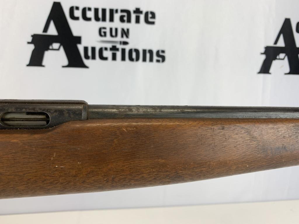 Mossberg and Sons 151M .22lr
