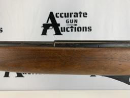 Mossberg and Sons 151M .22lr