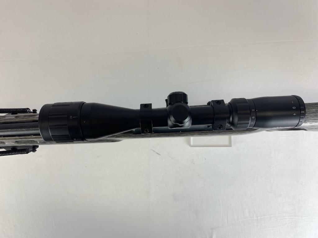 Savage Arms (Canada) A22 .22 LR