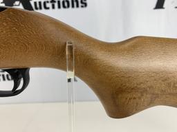 Ruger 10/22 .22 LR