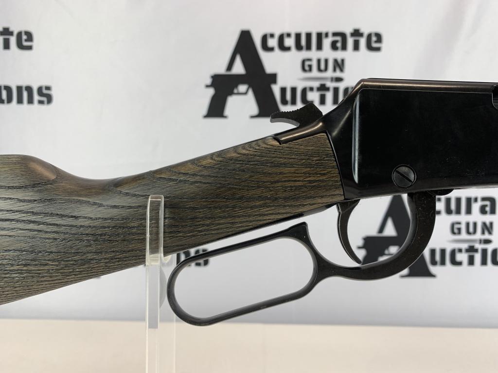 Henry H001GG 22 LR