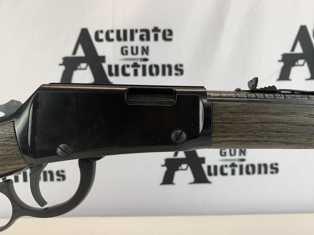 Henry H001GG 22 LR