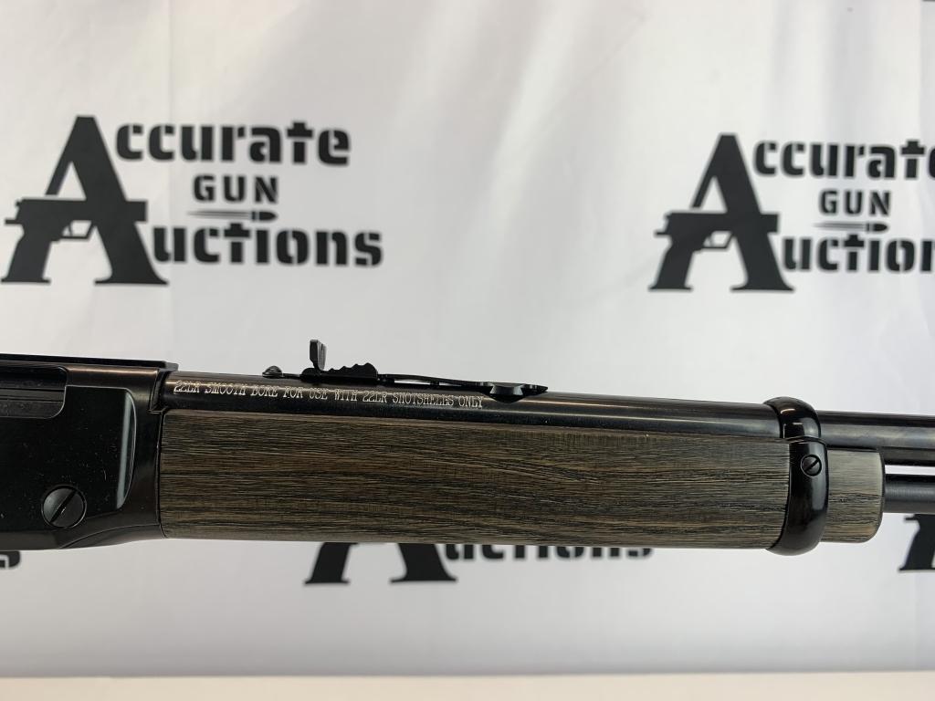 Henry H001GG 22 LR