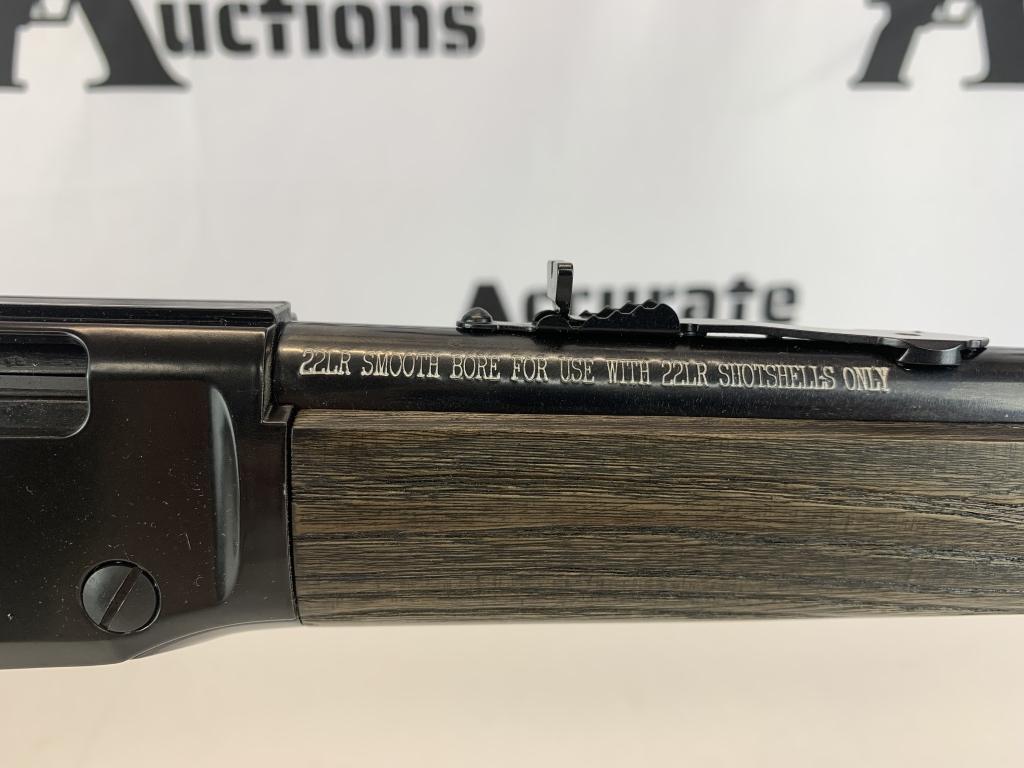 Henry H001GG 22 LR