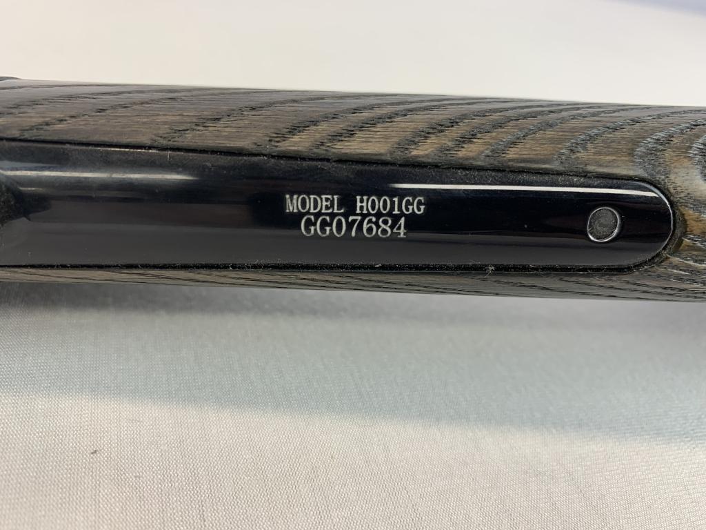 Henry H001GG 22 LR
