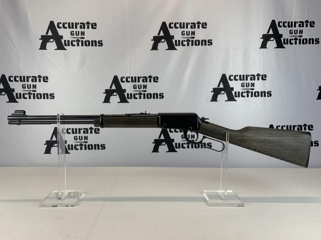 Henry H001GG 22 LR