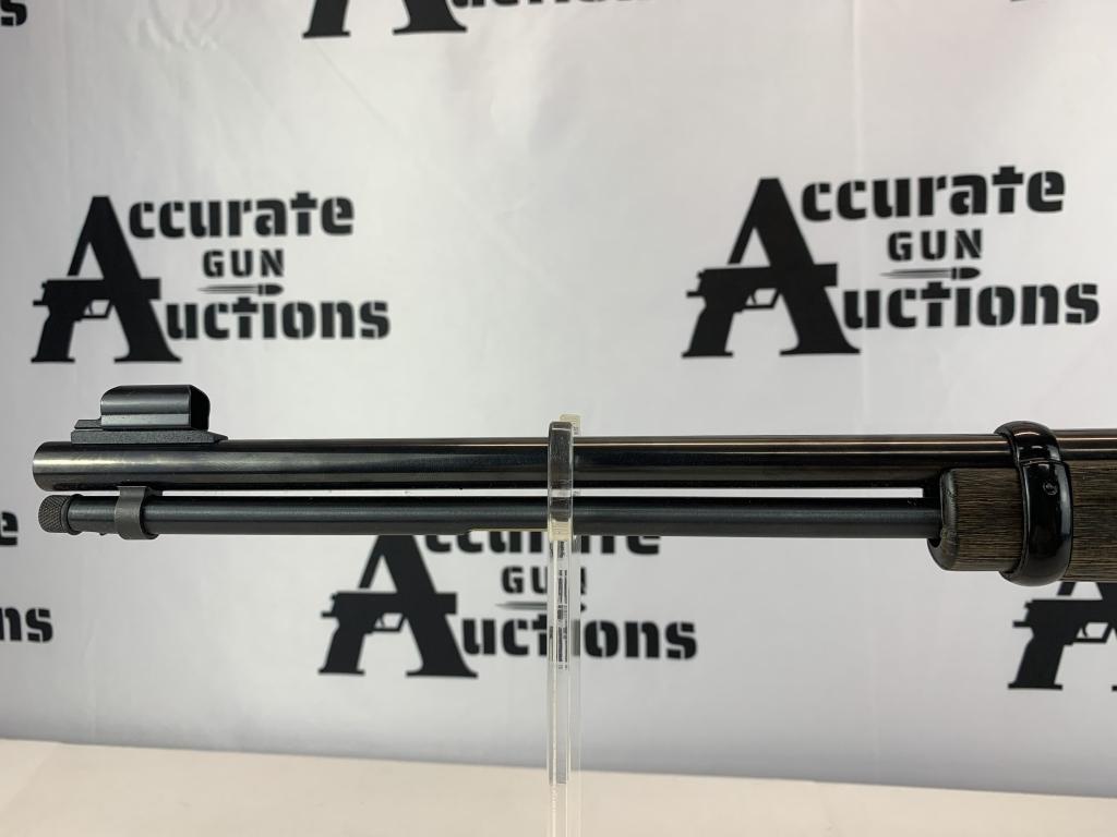 Henry H001GG 22 LR