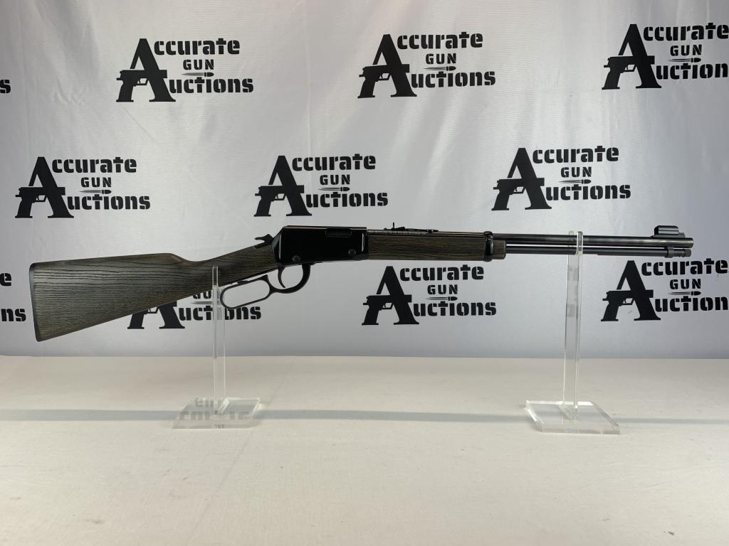 Henry H001GG 22 LR