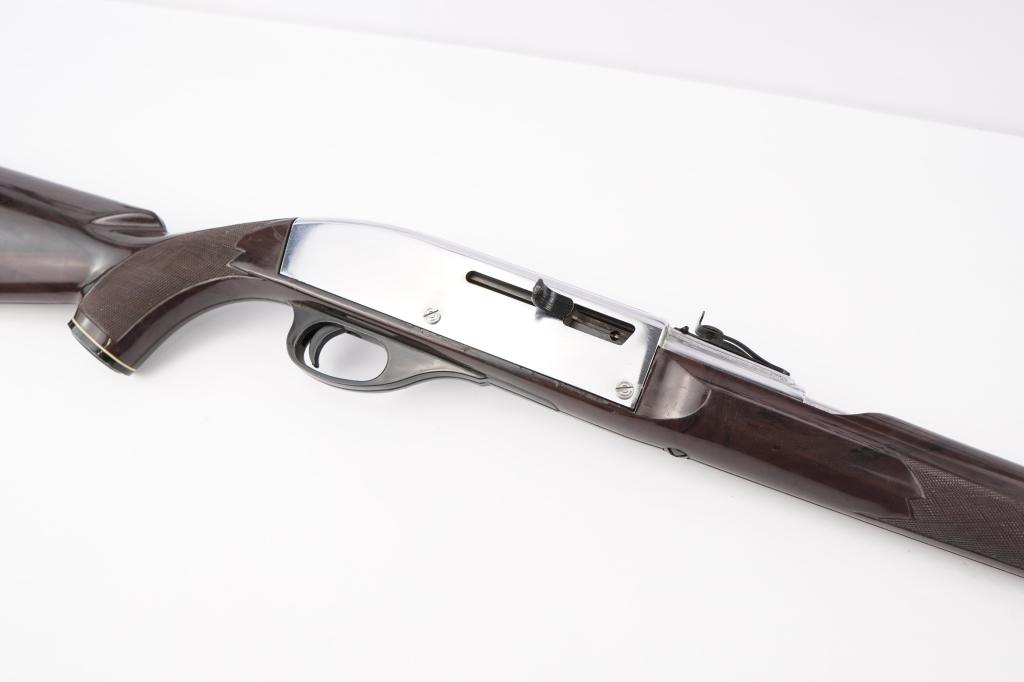 Remington Nylon 66 .22 LR