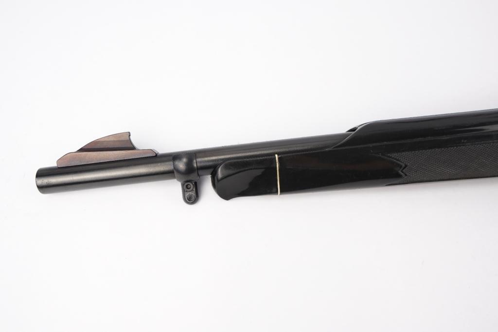 Remington  Nylon 66 .22 LR