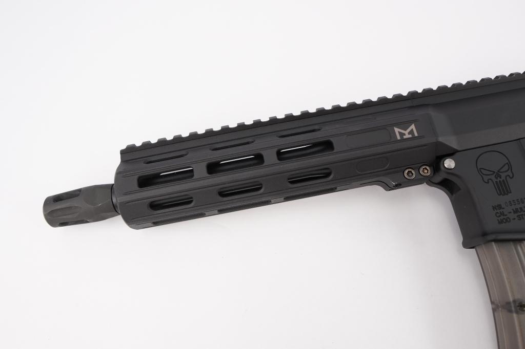 Spikes Tactical ST-15 .22LR