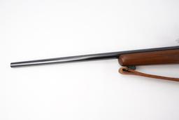 Ruger   M77 .243 WIN