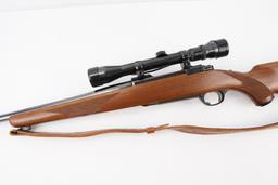 Ruger   M77 .243 WIN