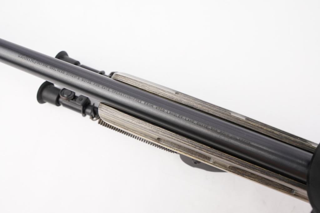 HOWA   1500 .204 Ruger