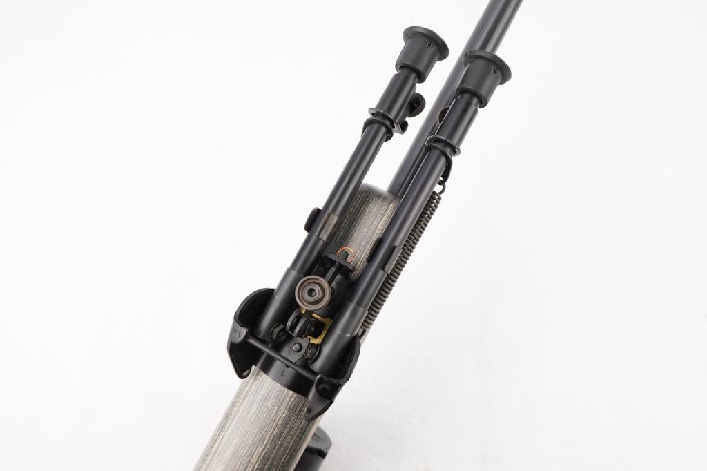 HOWA   1500 .204 Ruger