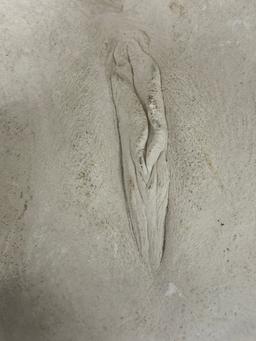 Erotic Female Nude sculpture plaster 9"