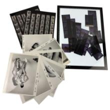 Vintage Black and White Photos Nudes with Negatives Contact Sheet lot