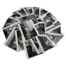 Vintage Black and White Photos Nudes lot of 20 Photos  8"x 10"